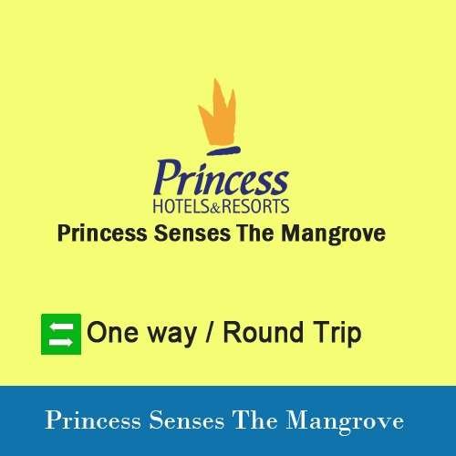 Princess Senses The Mangrove